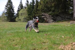 2018 Ausbildungswoche Arber